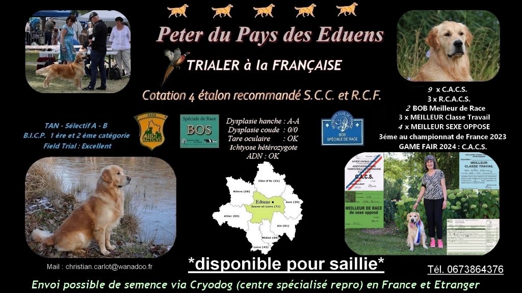 TR. Peter Du Pays Des Eduens