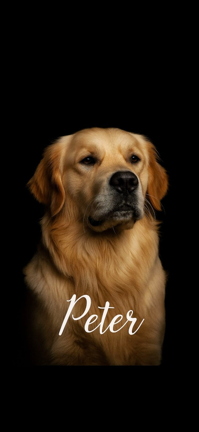 Peter du Pays des Eduens