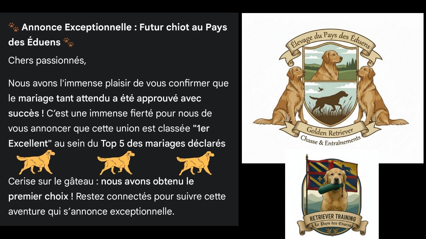 Du Pays Des Eduens - Info au Pays des Eduens