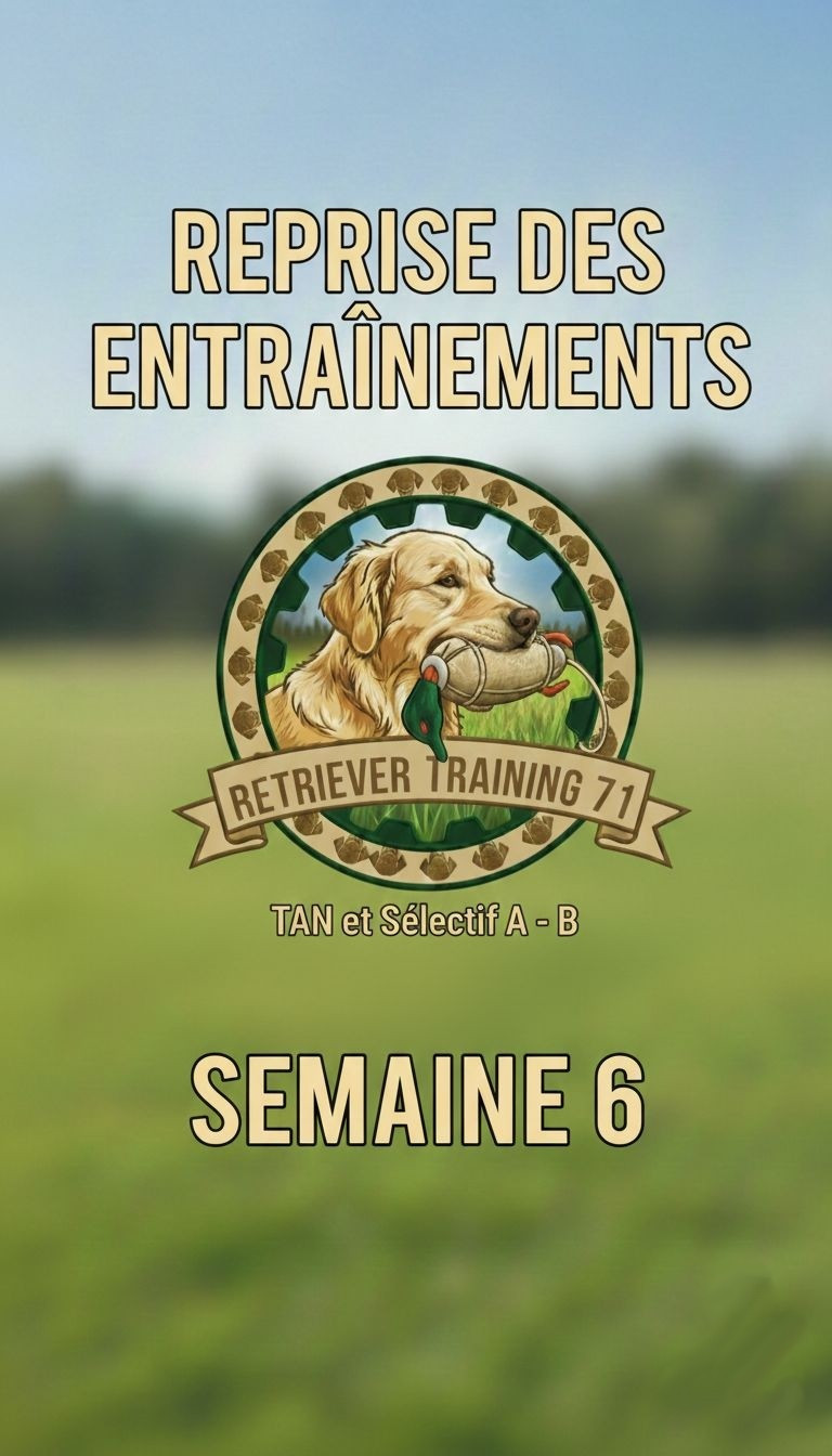 Retriever Training 71