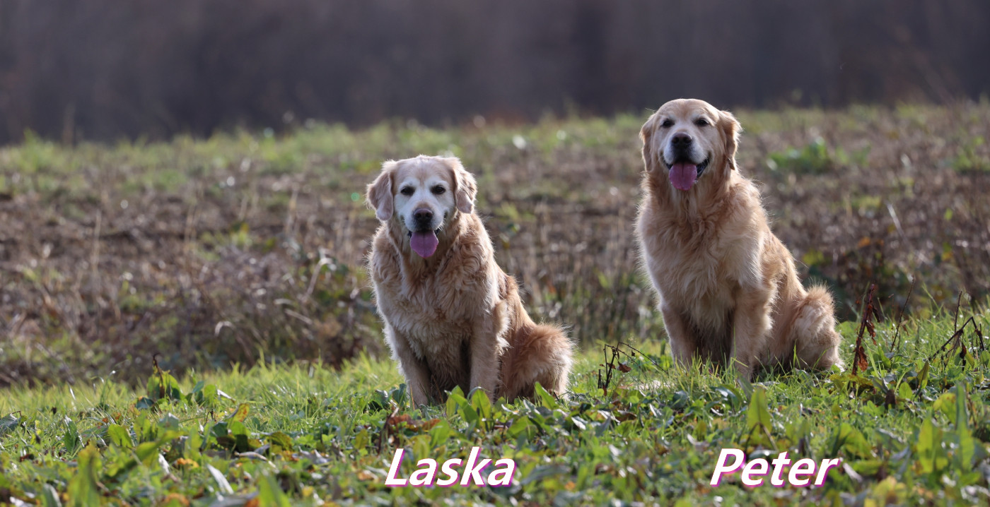Chasse petit gibier (18 - 10 - 2026)