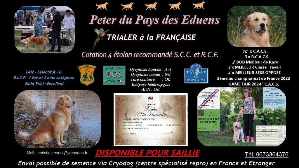 Peter du Pays des Eduens 