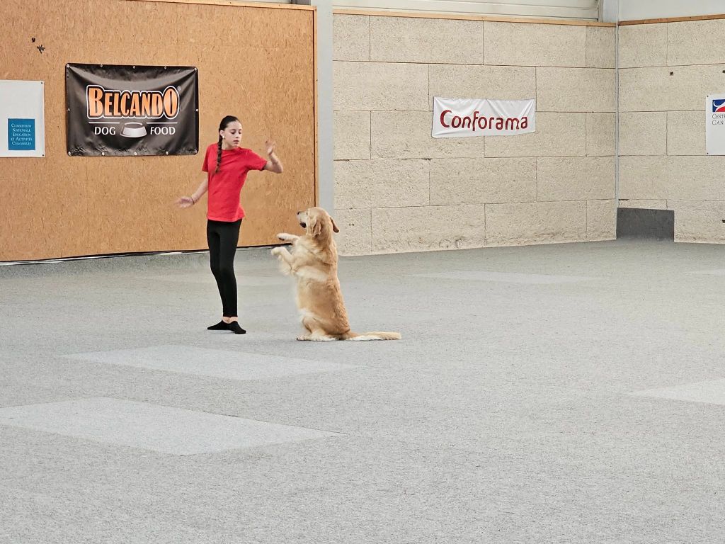 Du Pays Des Eduens - Championnat de France dogdancing 2025