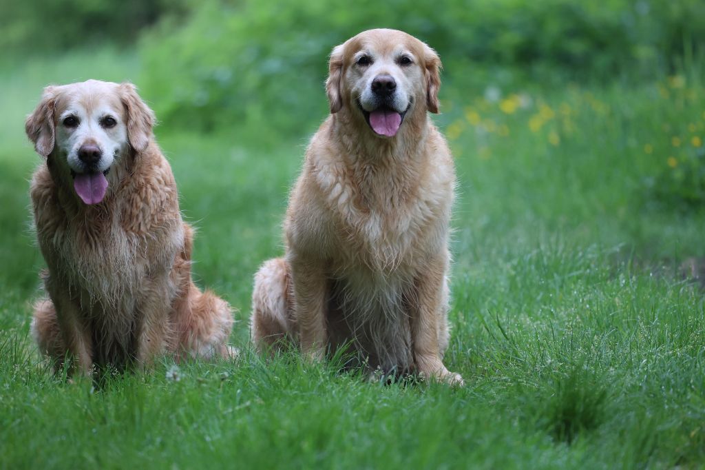  Laska et Peter (27/04/2025)