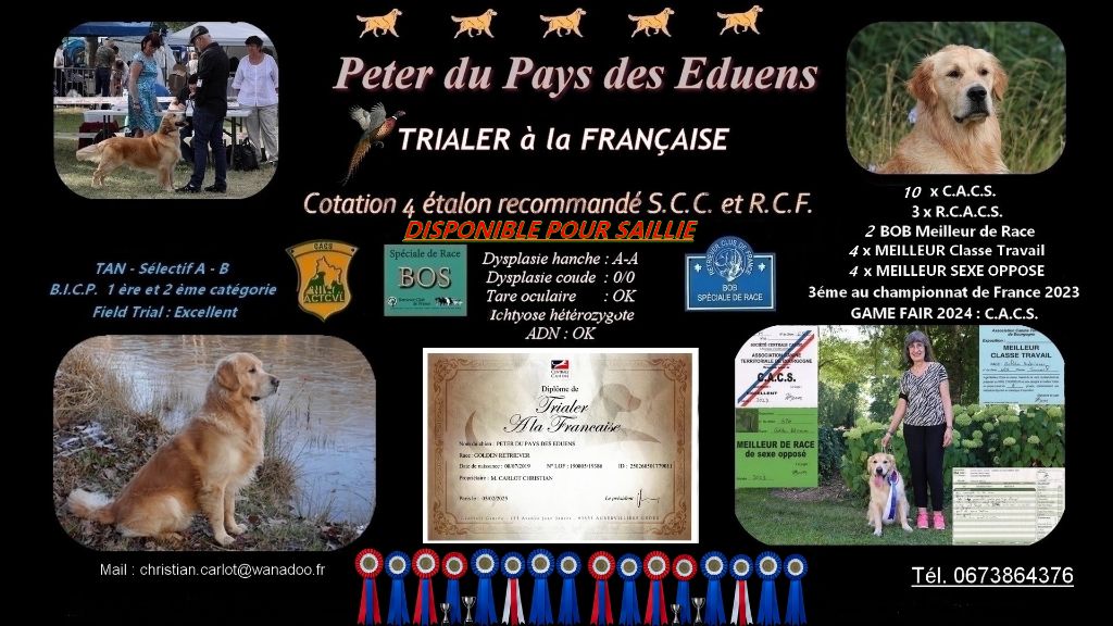 Du Pays Des Eduens - Peter du Pays des Eduens