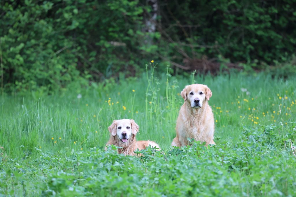 Laska et Peter (27/04/2025)